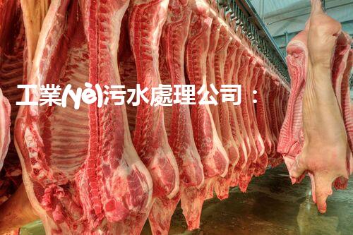 工業(yè)污水處理公司：創(chuàng)新技術(shù)解決環(huán)境難題！